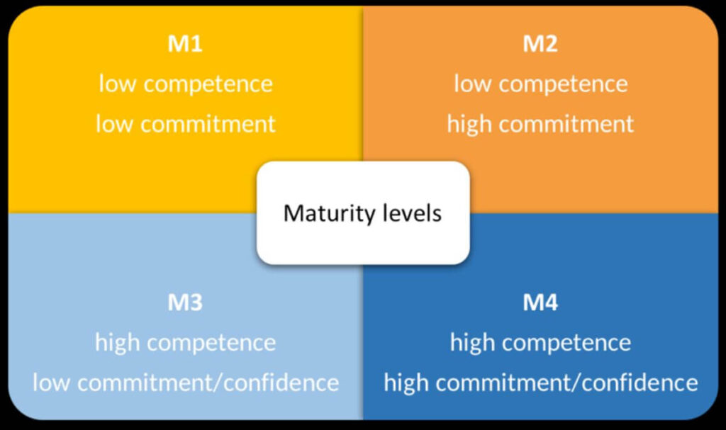 Maturity levels displayed in a four quadrant graph