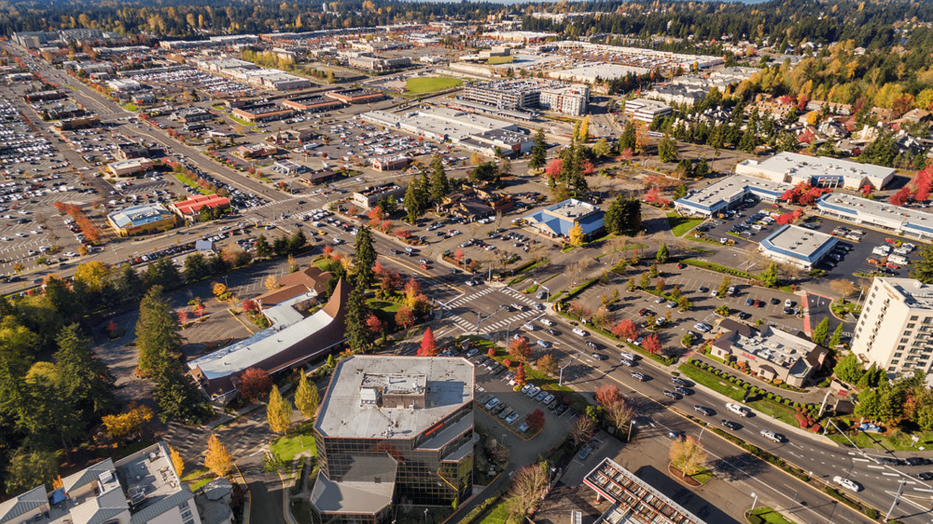 Federal Way Virtual Assistant Services As Low As 12/hr USD