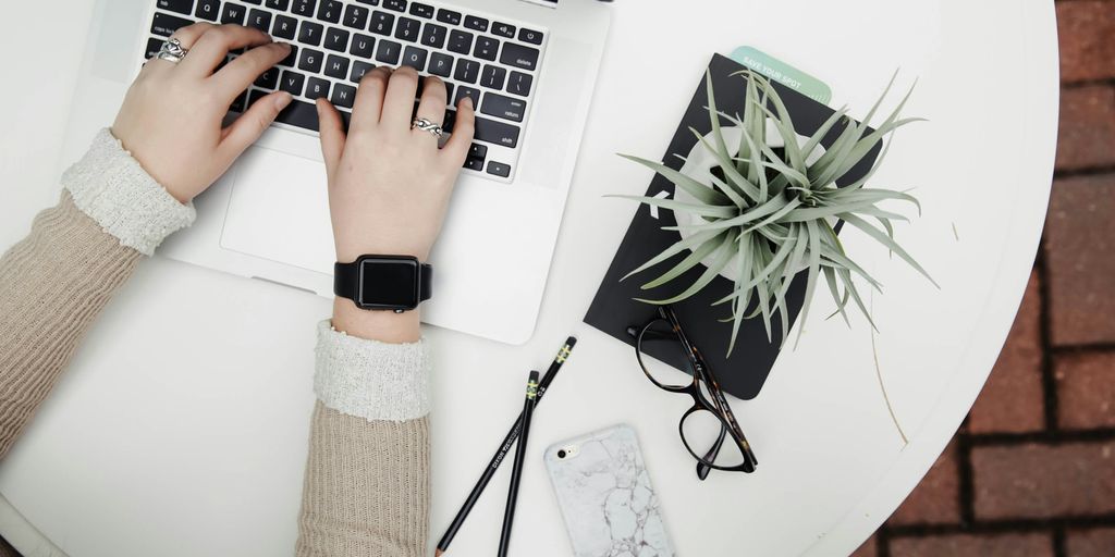 A person using a laptop beside an Aloe Vera plant